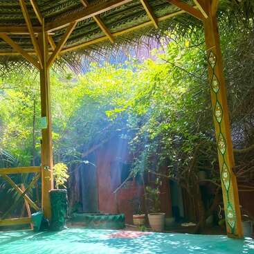 La lumière du soleil filtre à travers les feuillages pour illuminer une terrasse aux tons turquoise, nichée sous une pergola en bois, entourée de plantes en pot, de murs rustiques et de motifs décoratifs colorés peints à la main.