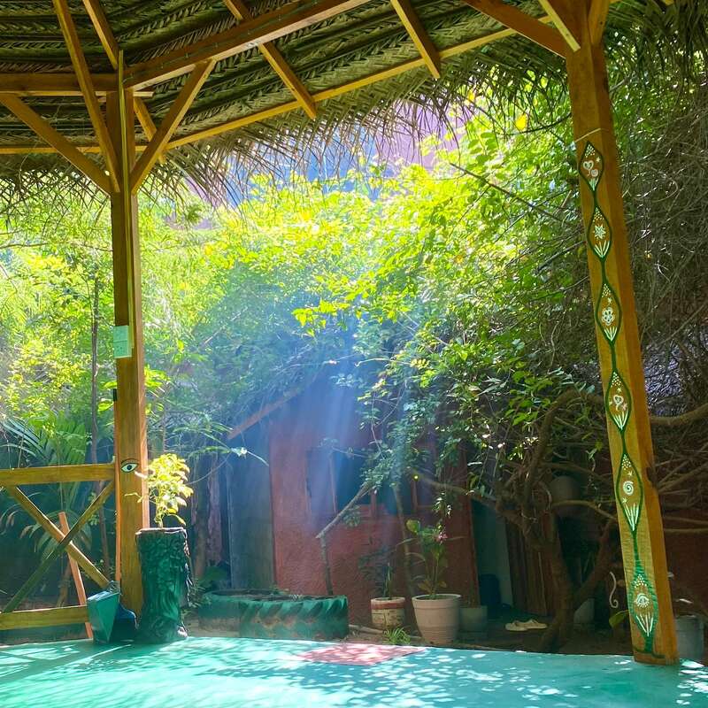 La lumière du soleil filtre à travers les feuillages pour illuminer une terrasse aux tons turquoise, nichée sous une pergola en bois, entourée de plantes en pot, de murs rustiques et de motifs décoratifs colorés peints à la main.