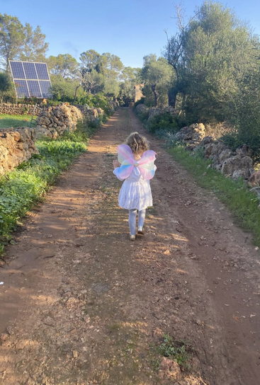 Un jeune enfant vêtu d'ailes de fée marche seul sur un chemin rustique et ensoleillé, bordé de rochers et de verdure, entouré d'arbres et d'un panneau solaire.