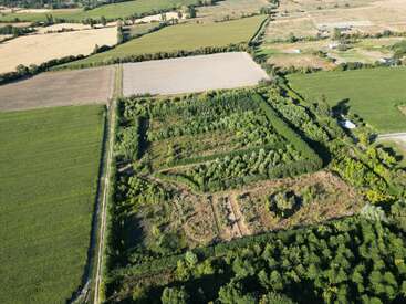 Vista aérea de un paisaje verde y exuberante con campos, árboles y parcelas agrícolas, bordeado por caminos de tierra y rodeado de campo abierto.