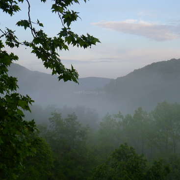 L'image représente un paysage serein avec des montagnes brumeuses, des arbres luxuriants et un ciel bleu, évoquant un sentiment de beauté naturelle et de tranquillité.