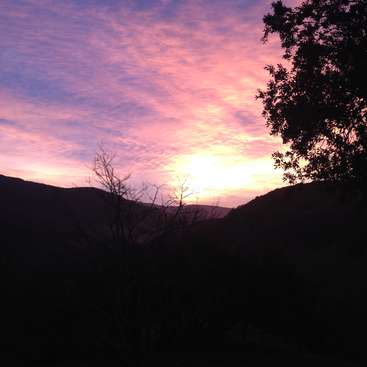L'image représente une scène sereine de coucher de soleil, avec un ciel rose et jaune vibrant, des collines et des arbres en silhouette, évoquant un sentiment de paix et de beauté naturelle.