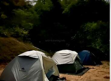 Three camping tents are set up on a sandy clearing near a forest. The surrounding trees are lush and green, providing a peaceful, natural atmosphere.