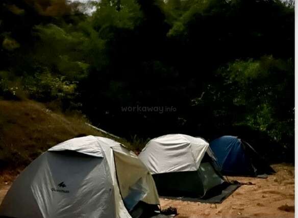 Three camping tents are set up on a sandy clearing near a forest. The surrounding trees are lush and green, providing a peaceful, natural atmosphere.