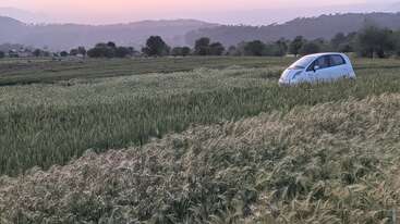 Une voiture blanche est garée dans un champ d'herbes hautes, avec des arbres et des collines visibles à l'arrière-plan sous un ciel brumeux.