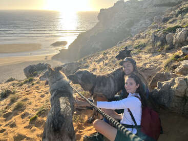 Two women sit on a rocky cliffside at sunset, smiling with three large dogs on leashes, overlooking a beautiful beach and ocean below. Peaceful, adventurous moment.