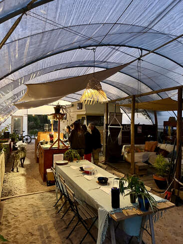 A cozy, rustic dining area under a transparent canopy features a long table, potted plants, hanging lights, a kitchen, a dog, and people gathered together.