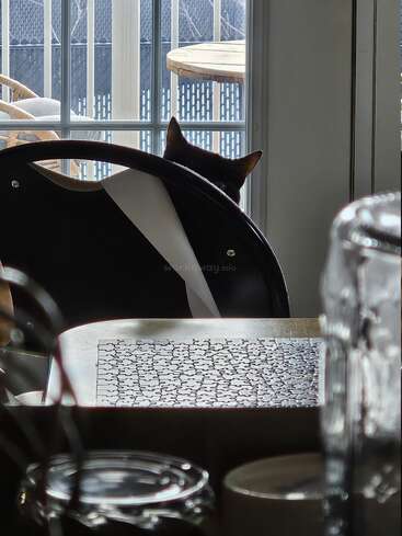 Les oreilles d'un chat noir dépassent d'une chaise noire, partiellement cachées. La lumière du soleil pénètre par les fenêtres, illuminant un puzzle et de la verrerie posés sur la table encombrée. Ambiance chaleureuse.