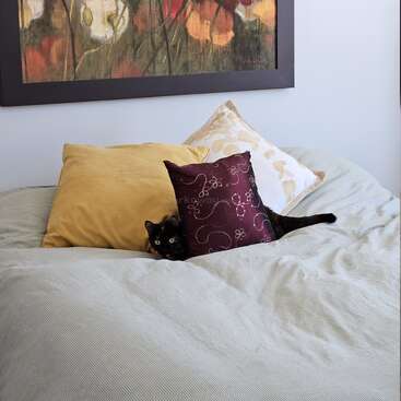 Un chat noir est partiellement caché derrière des oreillers sur un lit douillet, sous un tableau floral. Il jette un coup d'œil avec ses grands yeux, se fondant de manière espiègle dans le décor.