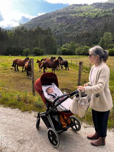 Une femme se tient à côté d'une poussette avec un bébé, regardant des chevaux dans un champ clôturé, avec en toile de fond des arbres et une montagne sous un ciel bleu avec des nuages.