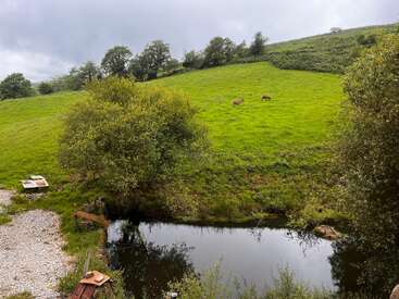 L'image représente un paysage serein avec un étang, de la verdure luxuriante et un flanc de colline où paissent des cerfs, le tout dans un ciel couvert.