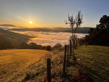 L'image représente un paysage serein avec des collines ondulantes, des arbres et une clôture, avec en toile de fond un lever ou un coucher de soleil à couper le souffle et une mer de nuages en contrebas.