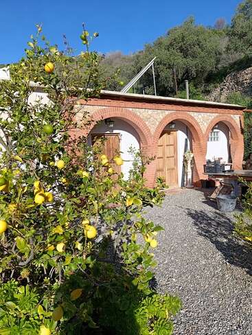 Una casa rústica con arcos de ladrillo y puertas de madera se alza bajo un cielo azul y despejado, rodeada de una exuberante vegetación y un limonero cargado de frutos maduros.