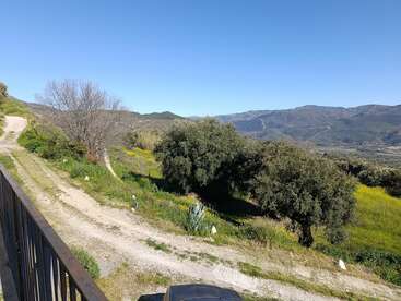 Un camino de tierra serpentea por una ladera cubierta de hierba, salpicada de árboles, flores silvestres y arbustos, con una cordillera al fondo, bajo un cielo azul y despejado. Un paisaje tranquilo.