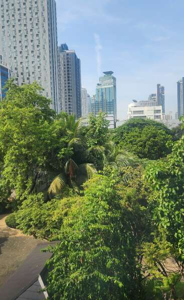 Lush green trees cover the foreground, contrasting with tall modern skyscrapers in the background under a clear blue sky on a sunny day in the city.