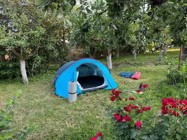 Hay una tienda de campaña azul montada en un frondoso jardín verde rodeado de árboles. Cerca florecen unas flores de un rojo intenso. El equipo de acampada está esparcido por el césped.