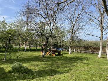Un tranquilo jardín trasero con césped verde, árboles y una mesa de picnic de madera. Una hamaca cuelga entre los árboles bajo un cielo azul y despejado. El recinto está vallado.