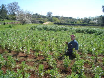 A person is kneeling in a lush green field with young plants, waving at the camera. The background shows trees, blue sky, and a dirt path.