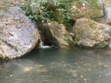Uma pequena cachoeira desce entre grandes rochas e deságua em uma piscina natural tranquila. As plantas verdes cercam a área, criando um oásis tranquilo, sombreado e convidativo na natureza.