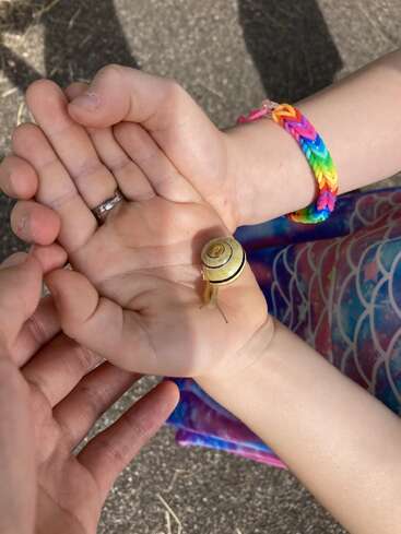 A child’s hand with a colorful rainbow bracelet gently holds a small striped snail, while another person assists, set against a sunny outdoor background.