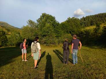 Quatro pessoas com mochilas estão em um campo gramado, de frente para árvores verdes exuberantes, banhadas pela luz quente do sol. Sombras se estendem atrás delas. Parece uma caminhada.