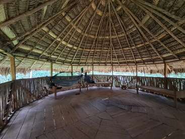 Cette image montre l'intérieur d'une cabane rustique avec un toit de chaume, des bancs en bois, un plancher en planches et un hamac, entourée de nature et de verdure à l'extérieur.