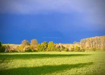 A vibrant green field stretches under dramatic skies, with intense sunlight illuminating distant trees and houses, contrasted by the deep blue of an approaching storm.