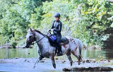 The image depicts a person riding a horse, with the horse\'s legs visible, and the rider\'s legs are not shown. The background is a grassy field. The overall atmosphere suggests a daytime setting.