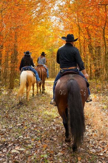 Three people, wearing cowboy hats, ride horses along a scenic trail surrounded by vibrant autumn foliage. The ground is covered with fallen leaves, creating a picturesque atmosphere.