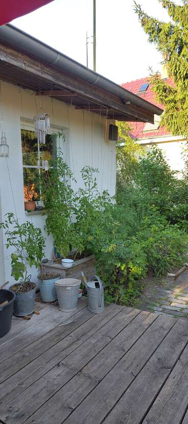 Un coin de jardin confortable avec des plantes luxuriantes, des seaux en métal et des arrosoirs sur une terrasse en bois. Des carillons éoliens et des pots sont suspendus au mur d'une maison blanche.