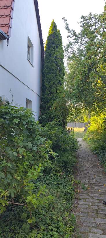 Un chemin pavé longe une maison blanche, bordée de buissons et d'arbres verdoyants, menant vers une clôture et un jardin ensoleillés au loin.