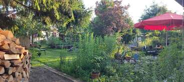 Un jardin luxuriant avec de l'herbe haute, des fleurs, du bois de chauffage empilé, des meubles de terrasse, un parasol rouge et des arbres qui font de l'ombre, créant ainsi une atmosphère paisible et rustique.