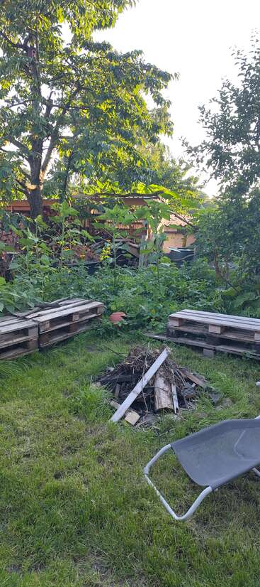 Un jardin verdoyant avec des palettes en bois, un foyer avec du bois et des branches, une chaise longue, des plantes luxuriantes et des arbres, y compris des tournesols et un feuillage abondant.