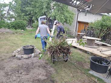 Duas pessoas estão trabalhando num jardim, transportando plantas arrancadas num carrinho de mão. O quintal tem vegetação, pedras, vasos e uma estrutura de madeira nas proximidades.