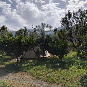A tipi-style tent is nestled among green trees and grassy landscape, with mountains visible in the background under a partly cloudy sky, creating a peaceful scene.