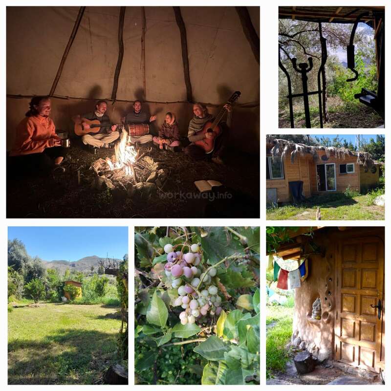This collage shows people playing music by a campfire in a tipi, rustic houses, a green garden, ripe grapes, and peaceful, nature-filled outdoor scenes.