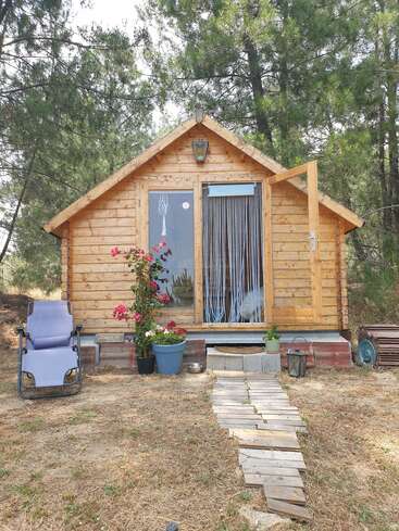 A small wooden cabin sits among trees, with an open door, potted flowers, a lounge chair, and a rustic wooden walkway leading to the entrance. Peaceful setting.