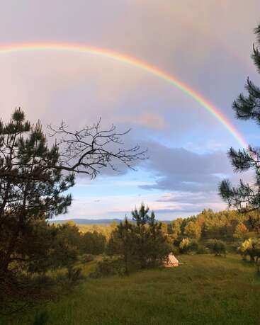 A vibrant rainbow arcs across a peaceful sky above a lush, green forest. A cozy tent nestles quietly among the pines, creating a serene atmosphere.