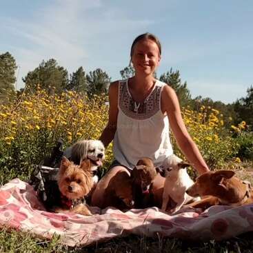 Una mujer sentada en una manta al aire libre, rodeada de seis perros pequeños. Flores y árboles de color amarillo brillante crean un fondo alegre y soleado. Todos parecen relajados y felices.