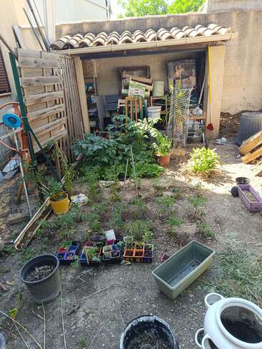 This image shows a cluttered backyard with various potted plants, seedlings, gardening tools, and an overfilled shed. The garden appears untidy but actively used.
