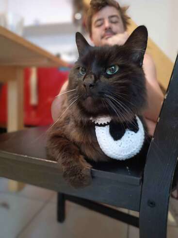 A fluffy black cat wearing a crocheted tuxedo bib sits confidently on a chair, with a relaxed person in the background smiling at the adorable scene.