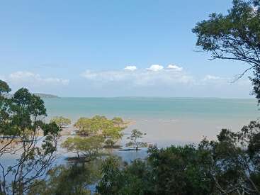 Uma cena serena à beira-mar, com céu azul claro, águas azul-turquesa, árvores espalhadas emergindo das águas rasas e vegetação ao redor, tudo lindamente emoldurado por galhos frondosos.