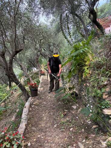 A person wearing a yellow face shield and holding a trimmer maintains a garden path lined with trees, flowers, and greenery on a sunny day.