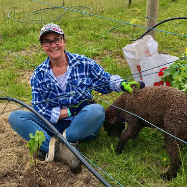 The image depicts a woman sitting on the ground in a grassy field, surrounded by a fence and a small tree, with a brown lamb standing next to her.