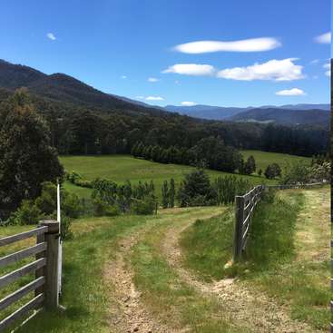 The image depicts a serene landscape featuring a dirt path, wooden fence, lush green fields, trees, and mountains under a clear blue sky with scattered white clouds.