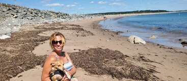 A woman in sunglasses smiles while holding a small dog on a sunny beach. Seaweed, rocks, blue sky, and distant people enjoying the shoreline are visible.