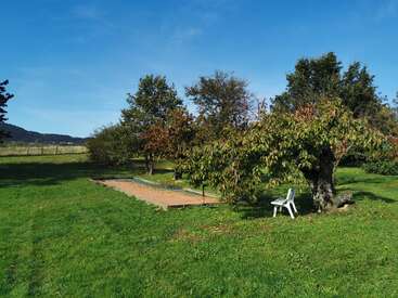 A green grassy yard under a clear blue sky, featuring trees, a sandpit or bocce court, and a single white plastic chair beside a tree.