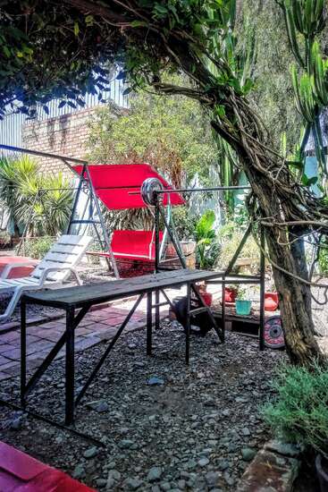 A rustic outdoor gym scene with a metal bench press, barbell, red swing, lounge chair, plants, vines, cactus, and sunlight filtering through leafy greenery.