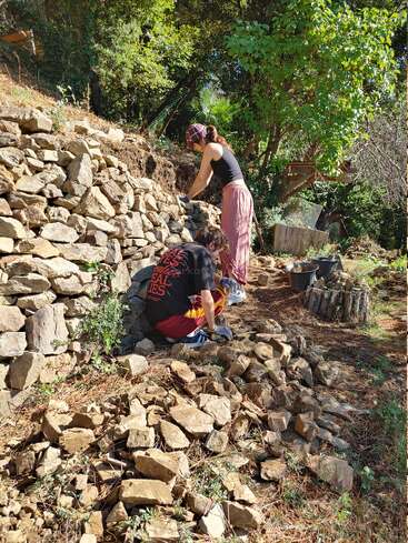 Duas pessoas estão construindo ou consertando um muro de pedra seca ao ar livre, cercadas por pedras, árvores e vegetação, trabalhando juntas à sombra em um dia ensolarado.