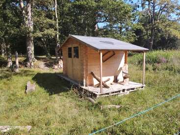 Eine kleine Holzhütte steht auf einer grasbewachsenen Lichtung, umgeben von Bäumen. Die Veranda ist unfertig und mit Brettern und Paletten ausgelegt, die in helles Sonnenlicht getaucht sind.